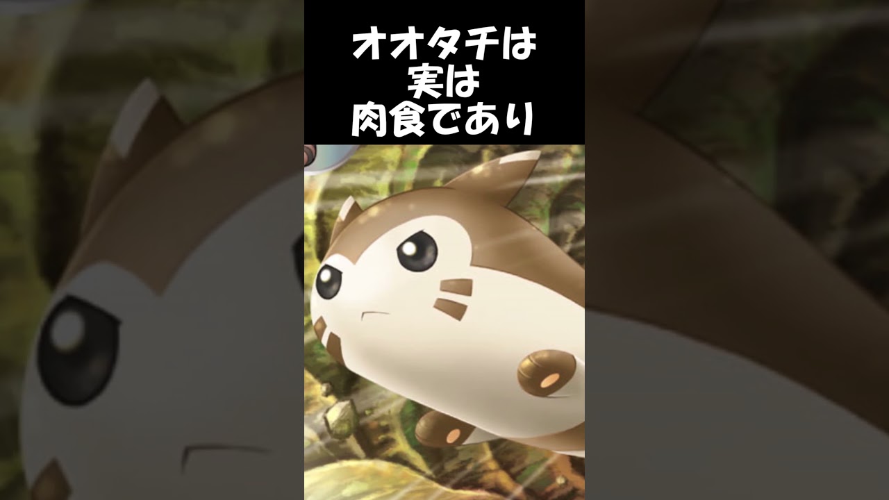 【ポケモン】意外と知らないポケモン界の食物連鎖 #shorts