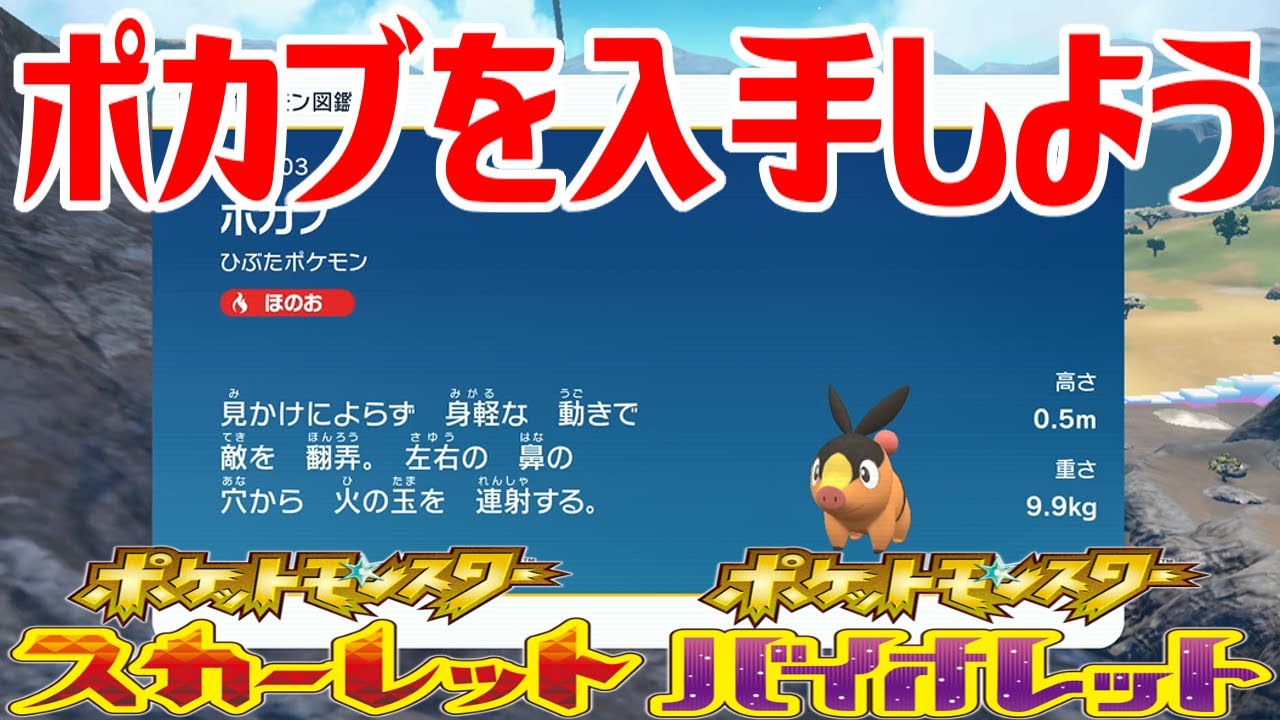 【ポケモンSV】ポカブを入手しよう【ポケットモンスター スカーレット・バイオレット ゼロの秘宝 藍の円盤】Pocket Monsters