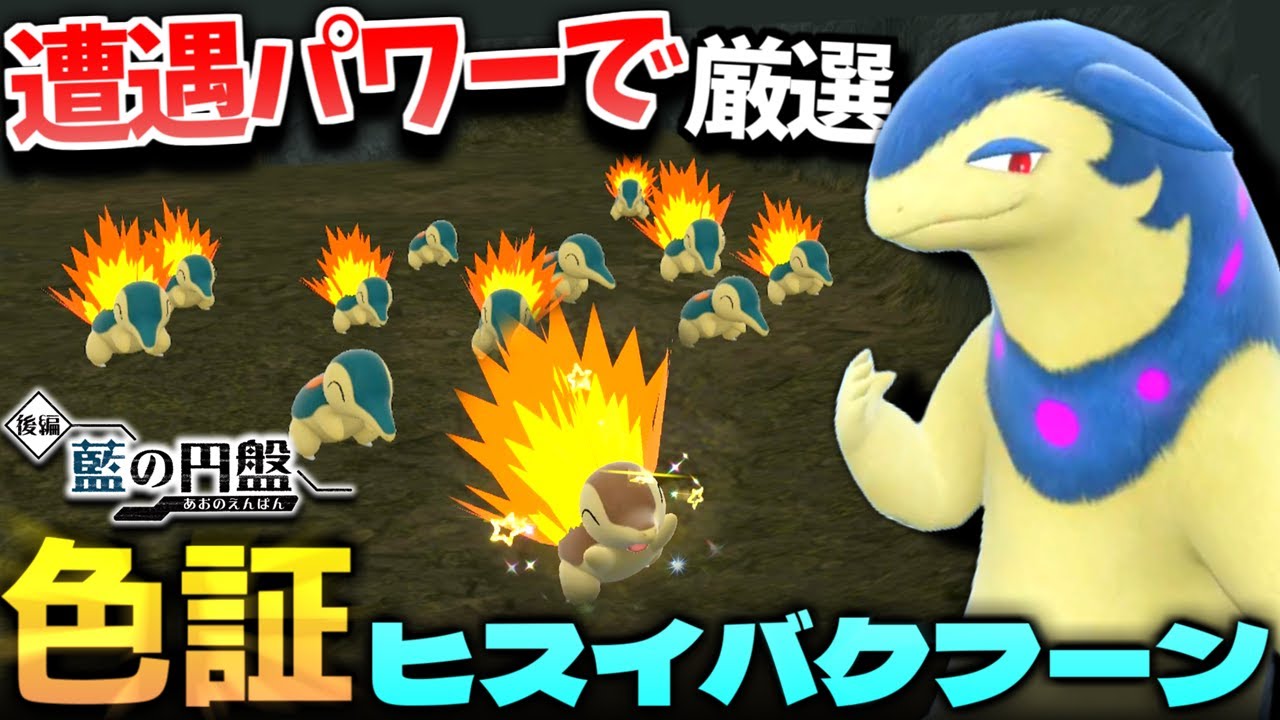 知らないとまず不可能なヒノアラシ厳選!?そうぐうパワーでレア個体が連続出現したのでオシャボ入り色証ヒスイバクフーンへ進化!!【ポケモンSV】【色違いポケモン】【色違い厳選】【藍の円盤】