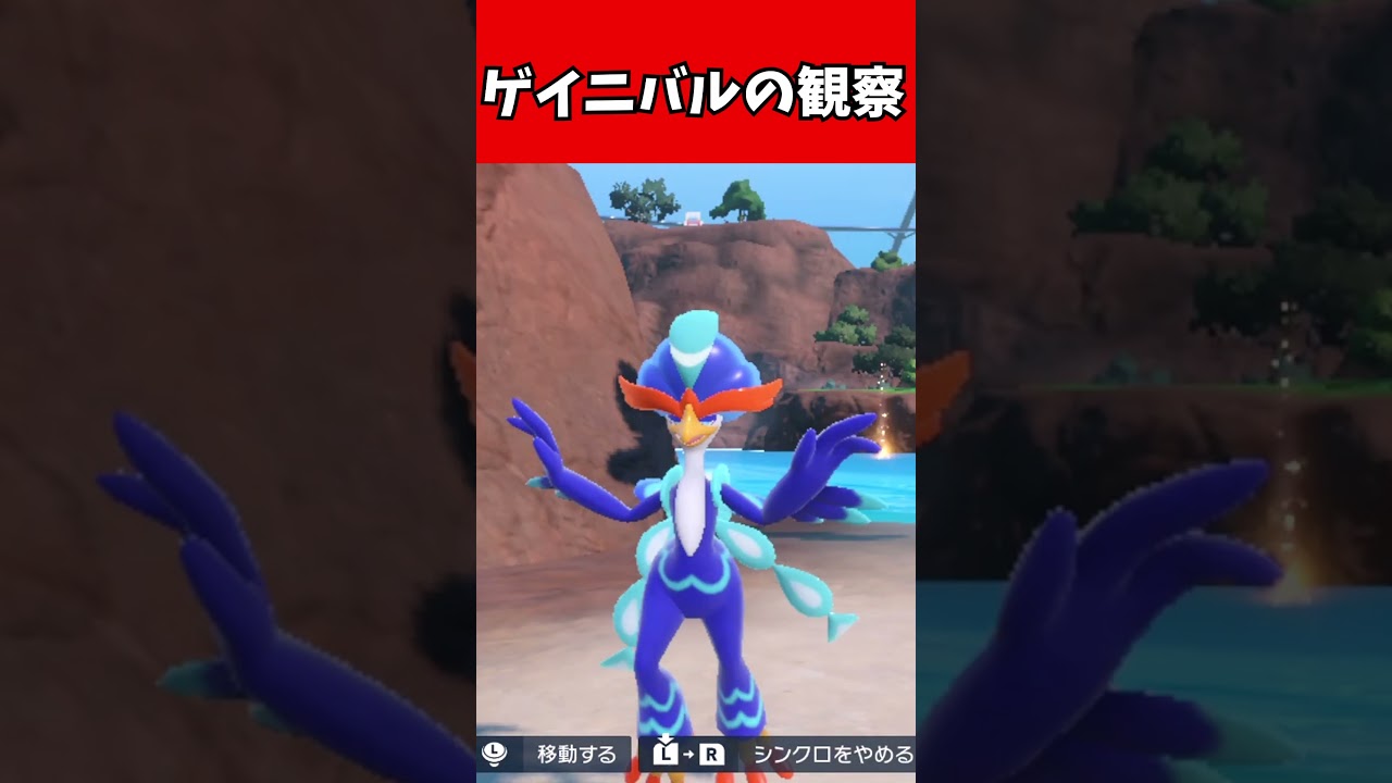 【マイナーポケモン解説】ウェーニバルとイワークの戯れ