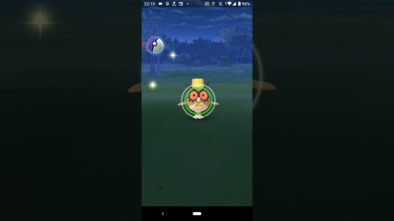 新年を祝う帽子のホーホー