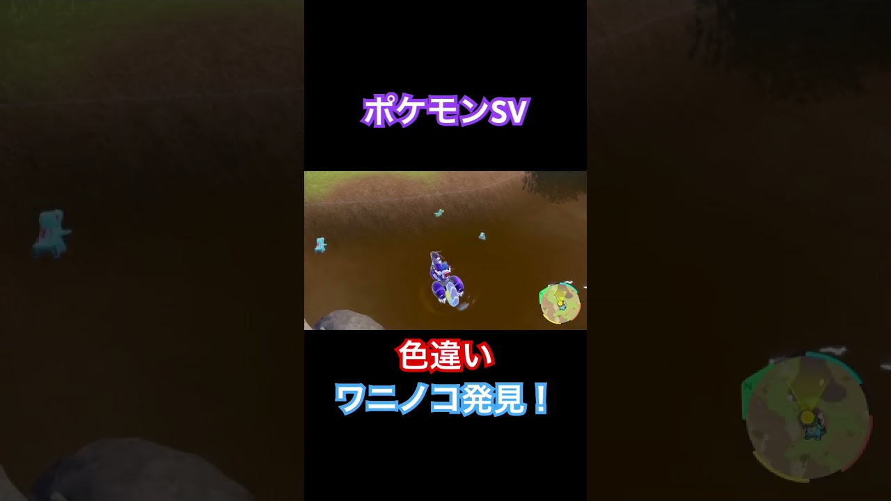 【ポケモンSV】色違いワニノコ発見！ #ポケモン #ポケモンsv #pokemon #shorts