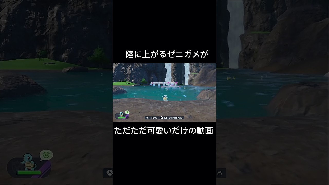 【ポケモンSV】ゼニガメが陸に上がる瞬間がかわいいので見て欲しい　# #ポケモン #ポケモンsv #藍の円盤 #ゼニガメ