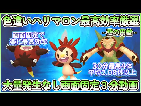 藍の円盤 色違いハリマロン最高効率画面固定３分動画30分最高４体平均2.08体以上#ポケモンsv #最高効率 #色違い #ハリマロン #ハリボーグ #ブリガロン #画面固定 #大量発生なし #藍の円盤