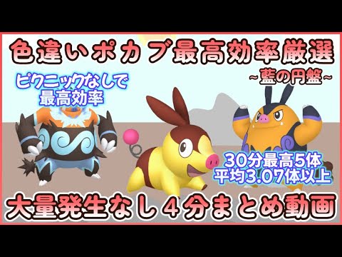 藍の円盤 色違いポカブ最高効率４分まとめ 30分最高６体 平均3.07体以上#ポケモンsv #最高効率 #色違い #ポカブ #チャオブー #エンブオー #大量発生なし #ピクニックなし