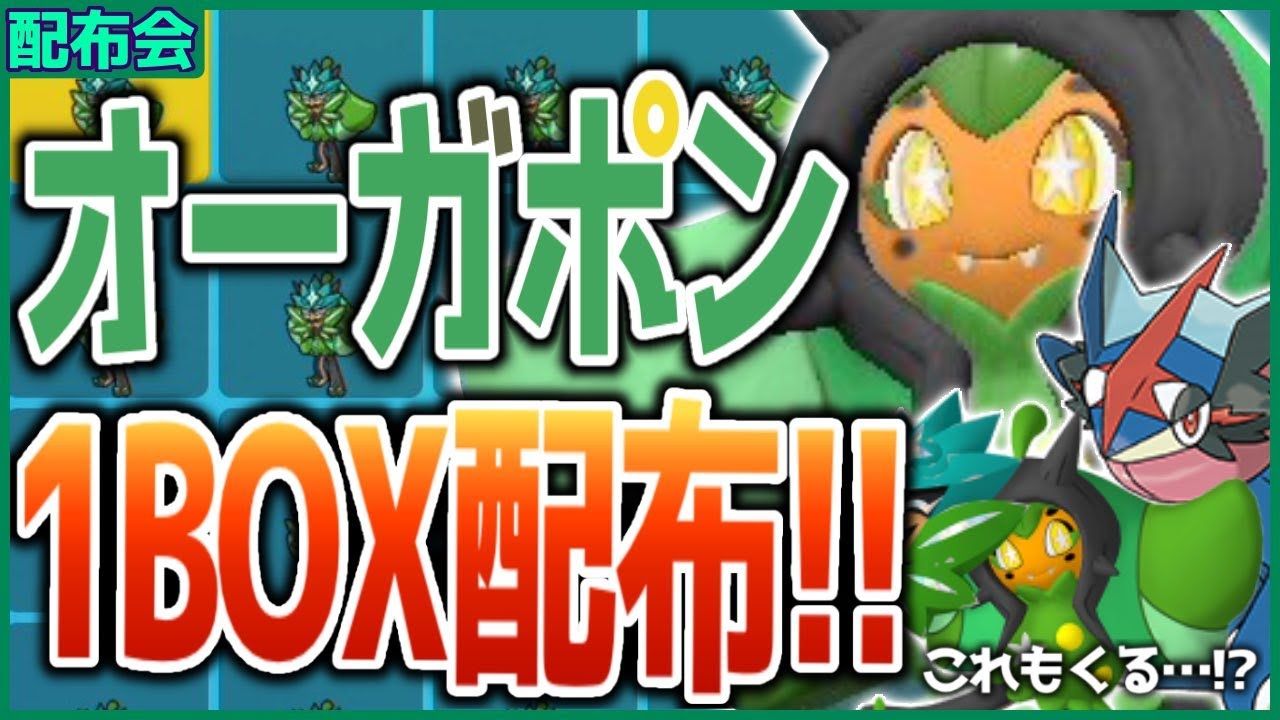 オーガポン１BOX配布会！！サトシゲッコウガ・おかわりオーガポンもきた！概要欄必読！！ 【ポケモンSV スカーレット バイオレット】