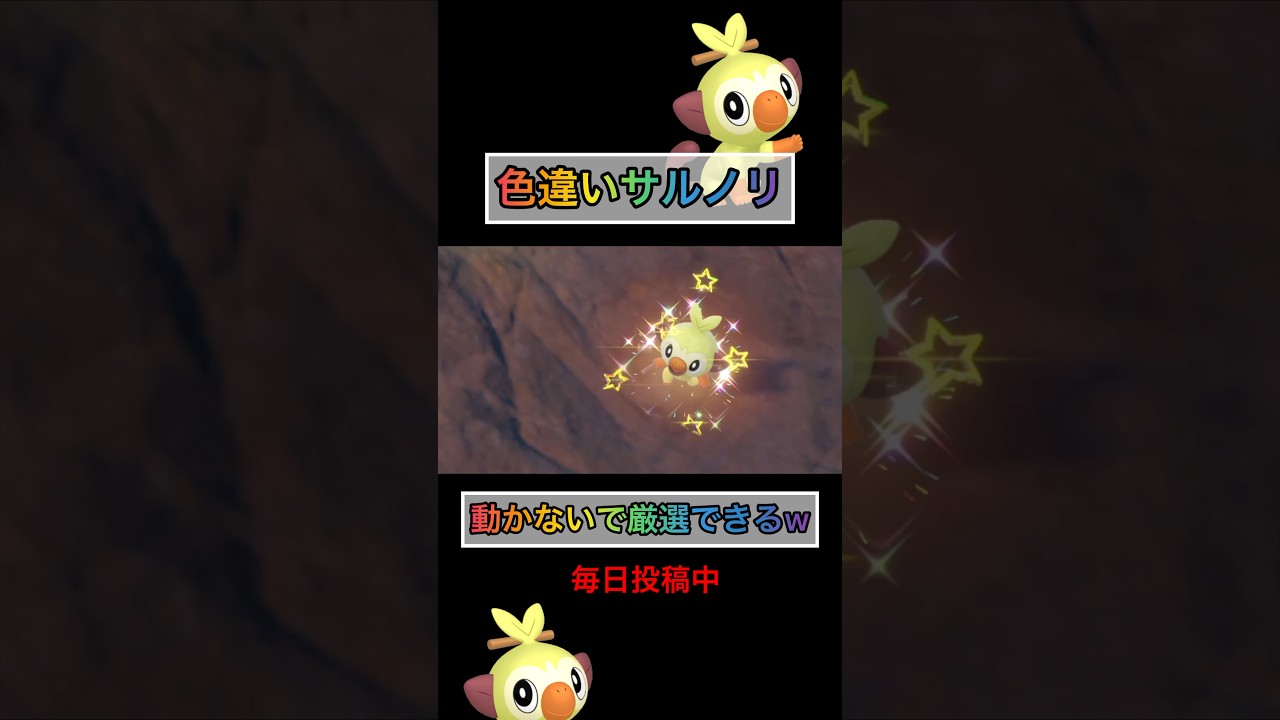 動かないで色違いサルノリが手に入るw 【#ポケモンsv 】【#藍の円盤 】