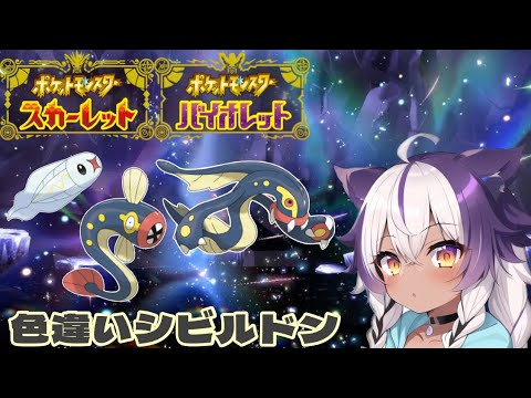 【ポケモンSV】色違いシビシラス → シビビール → シビルドン【ポケットモンスタースカーレットバイオレット】