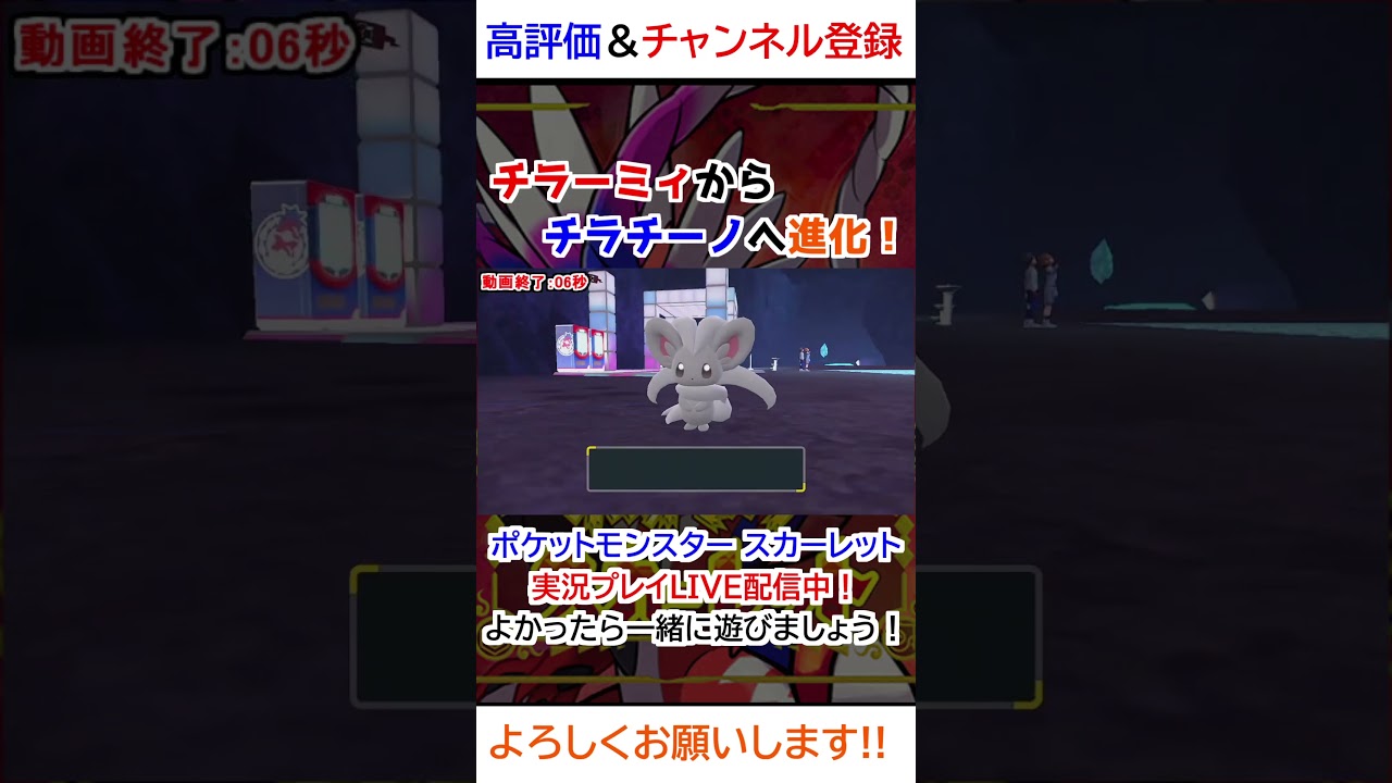 チラーミィ→チラチーノ進化【ポケモンSV】