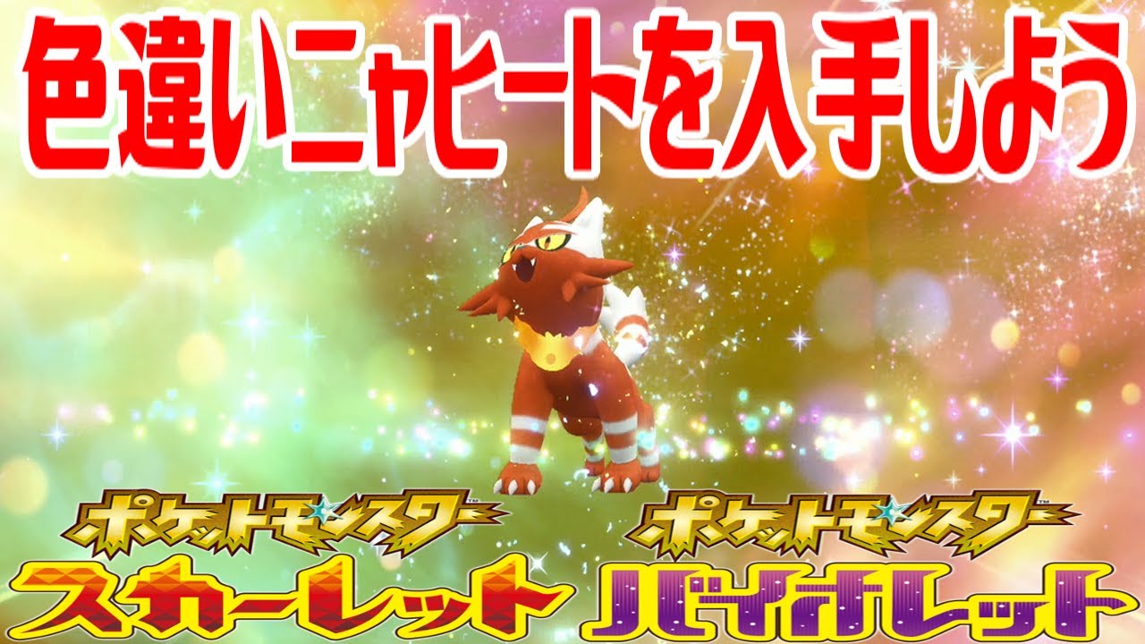 【ポケモンSV】色違いニャヒートを入手しよう 進化入手【ポケットモンスター スカーレット・バイオレット ゼロの秘宝 藍の円盤】Pocket Monsters