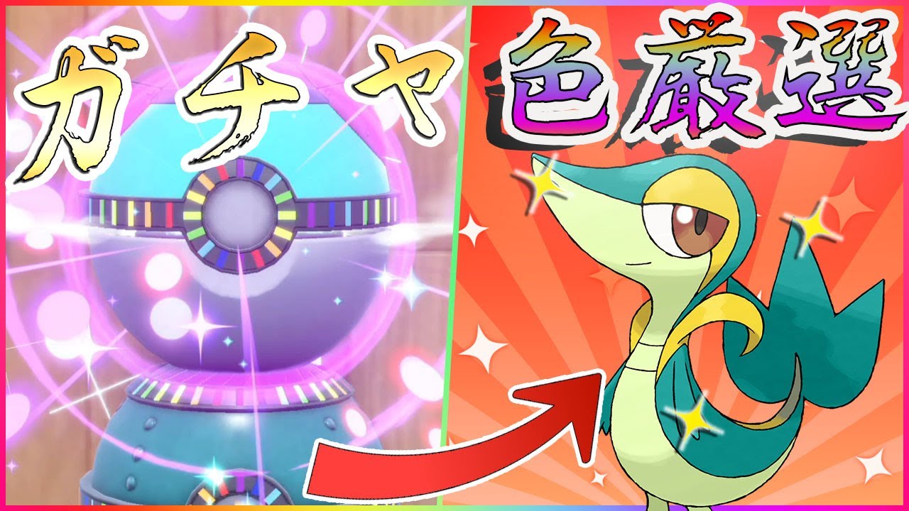 【ポケモンSV】クリスマス？なにぞれ；；ガチャでオシャボだして色証ツタージャだすぞ！！