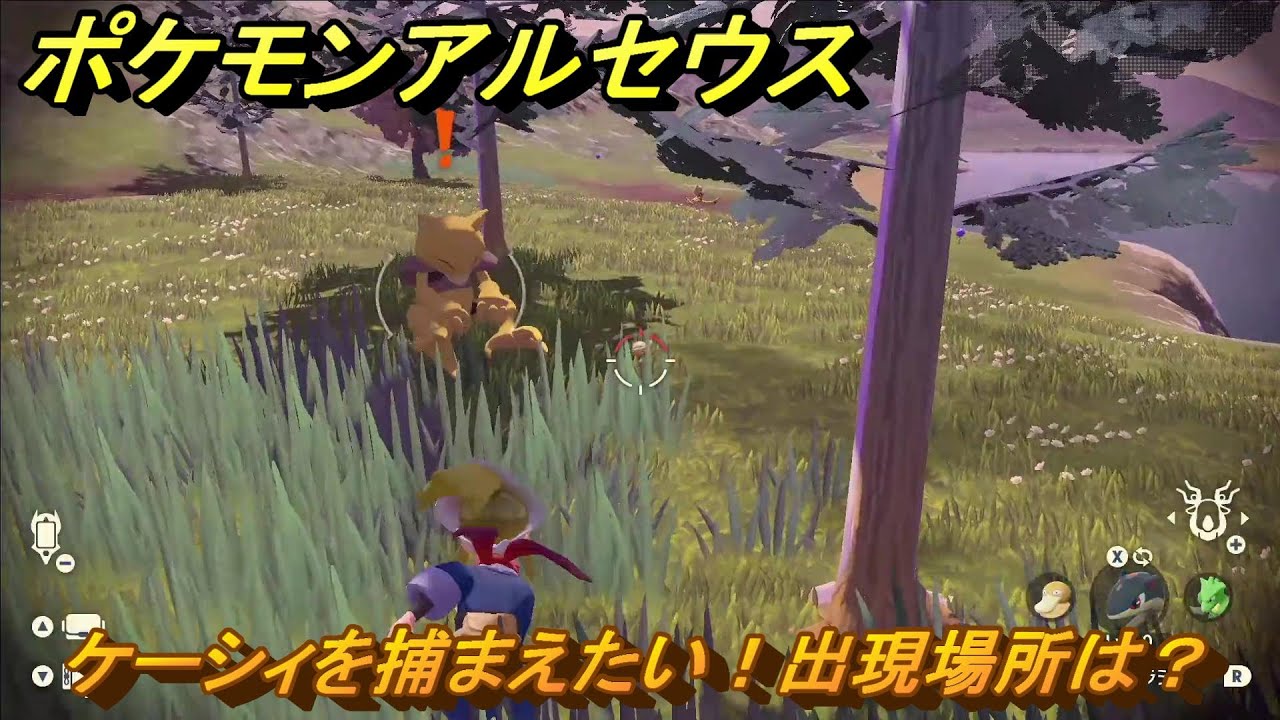ポケモンアルセウス　ケーシィを捕まえたい！出現場所は？　＃７９　【Pokémon LEGENDS アルセウス】