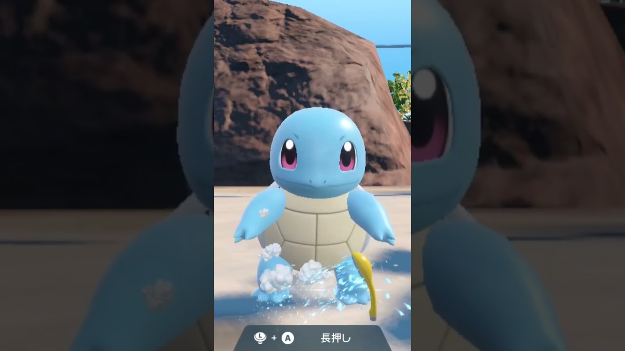 ゼニガメ Squirtle【ポケモンsv】