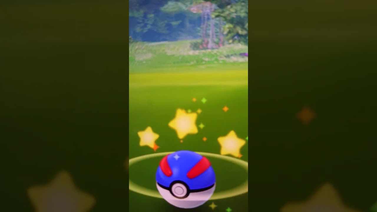色違いマクノシタさんに遭遇#ポケモンGO#ポケモンgo色違い