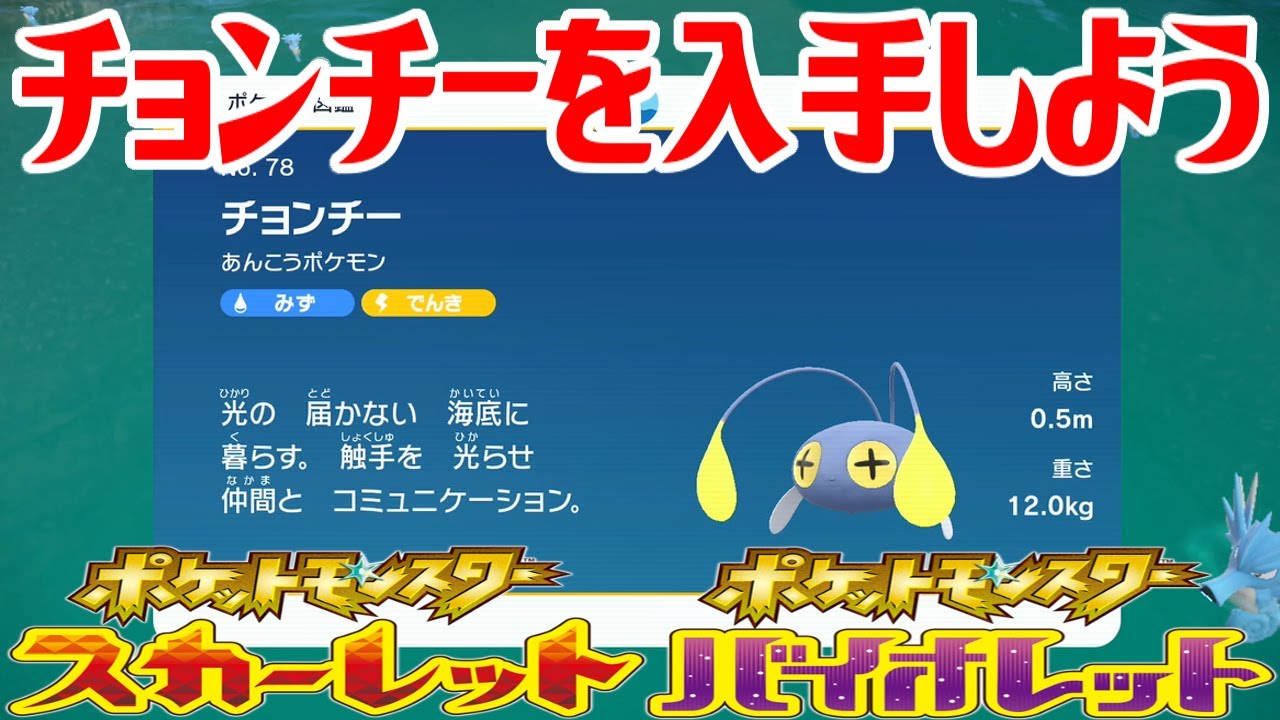 【ポケモンSV】チョンチーを入手しよう【ポケットモンスター スカーレット・バイオレット ゼロの秘宝 藍の円盤】Pocket Monsters