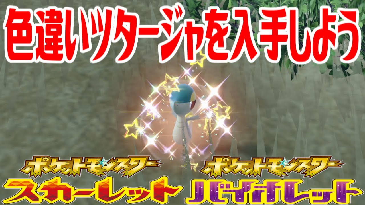 【ポケモンSV】色違いツタージャを入手しよう【ポケットモンスター スカーレット・バイオレット ゼロの秘宝 藍の円盤】Pocket Monsters