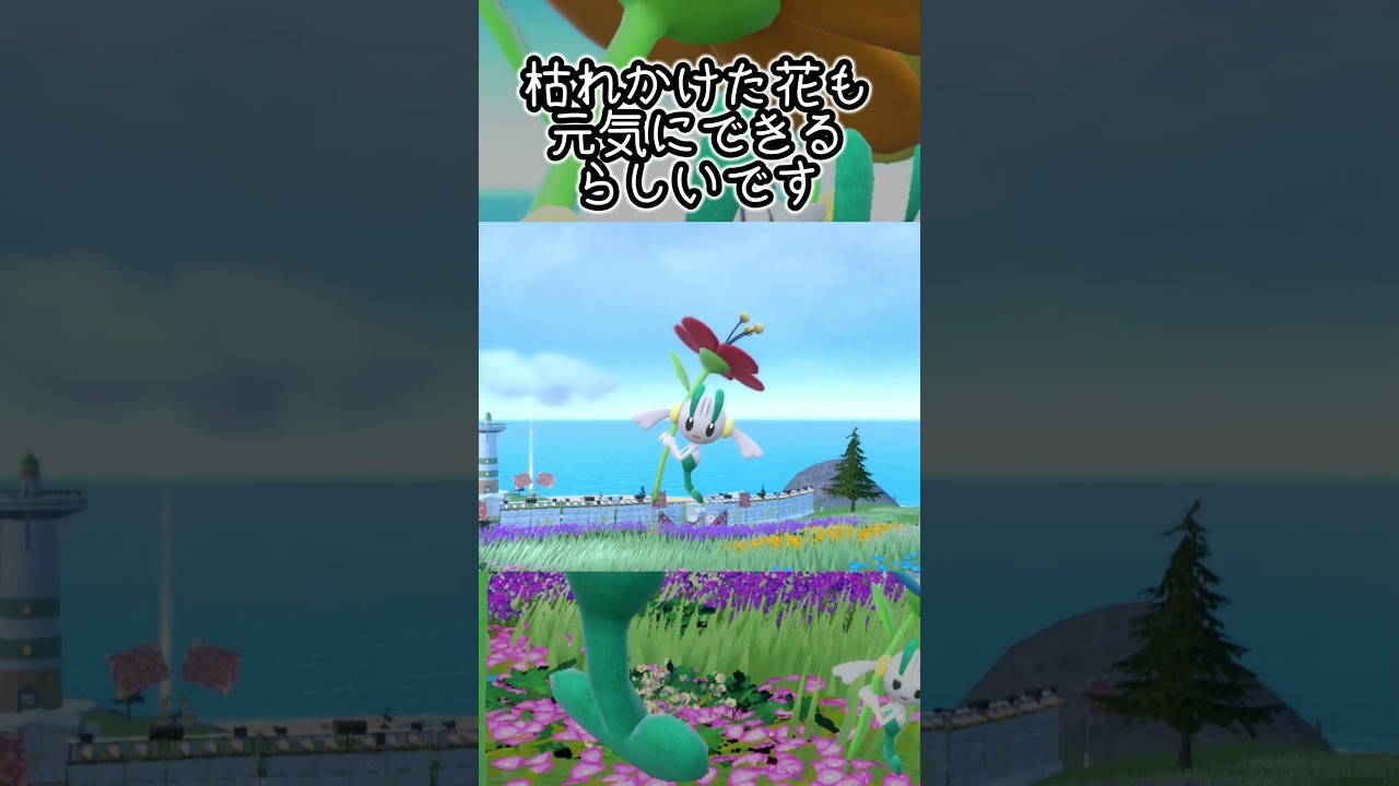 【疲れた人向け】フラエッテ6匹とピクニック【ポケモンSV】#Shorts