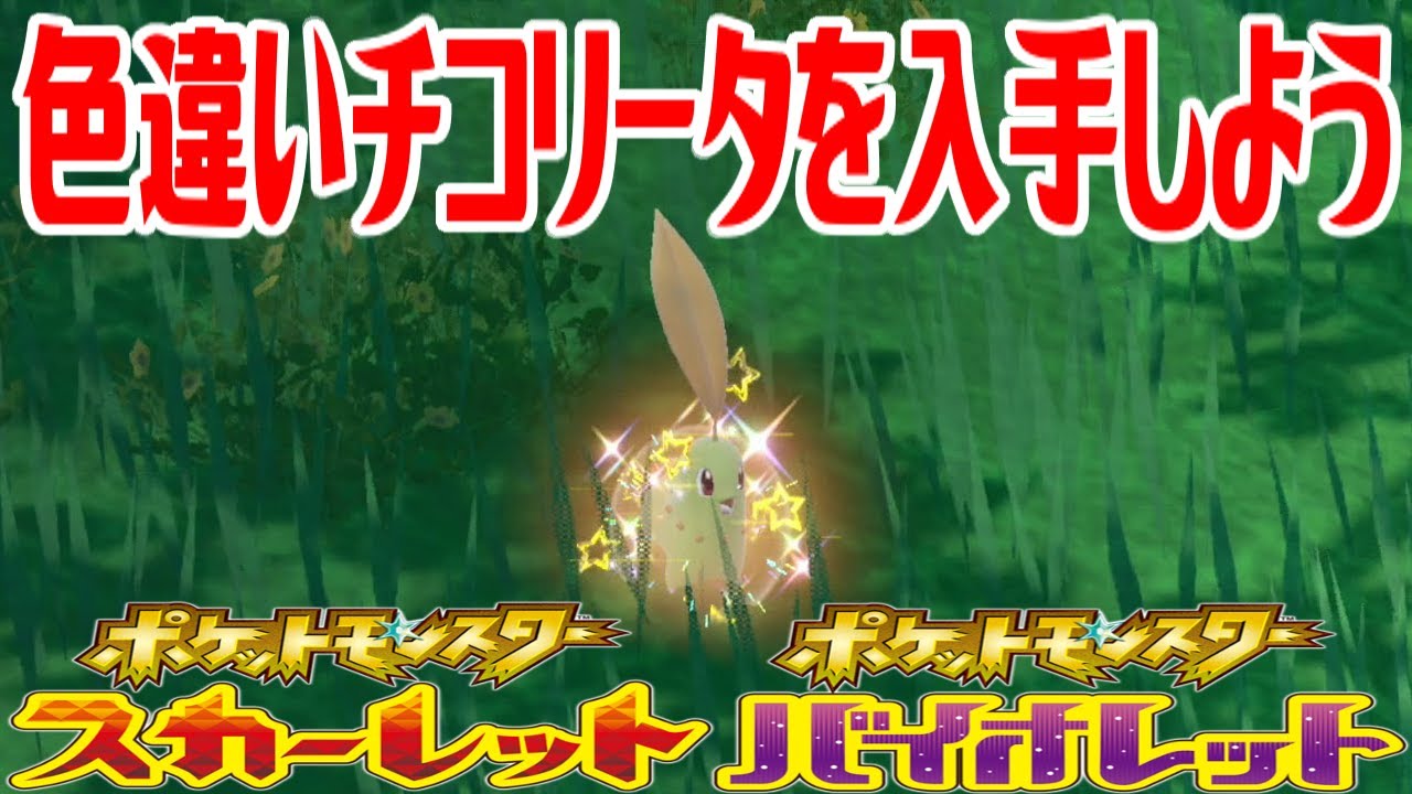 【ポケモンSV】色違いチコリータを入手しよう【ポケットモンスター スカーレット・バイオレット ゼロの秘宝 藍の円盤】Pocket Monsters