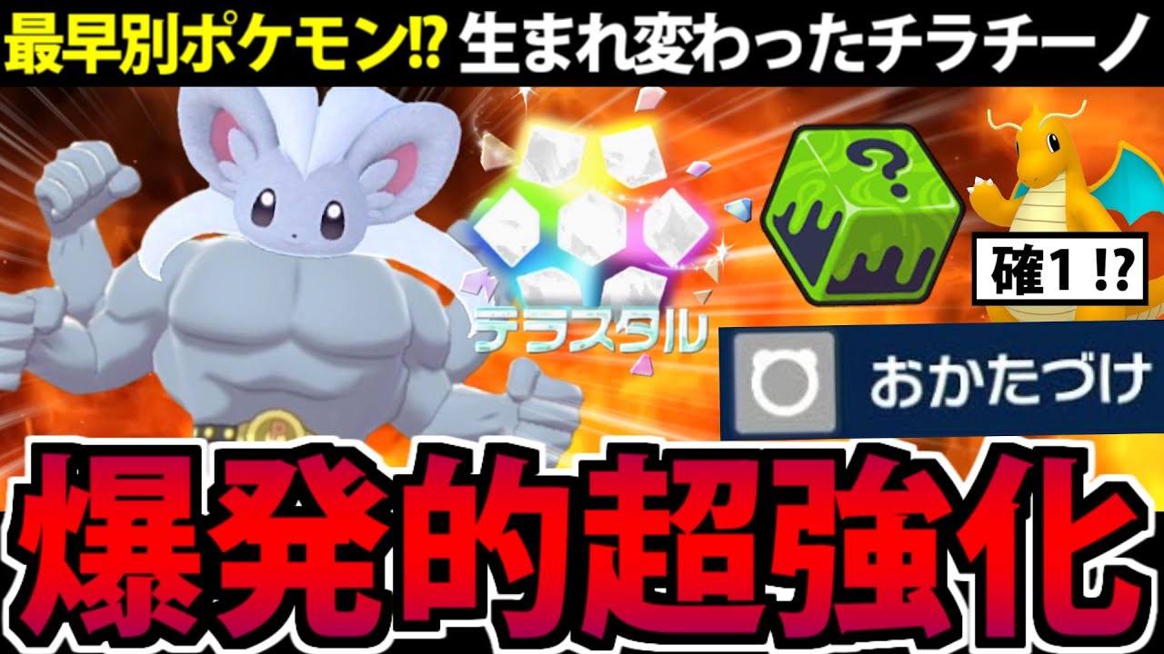 あらゆる要素で超強化された「チラチーノ」がマジで強すぎる【ポケモンSV】
