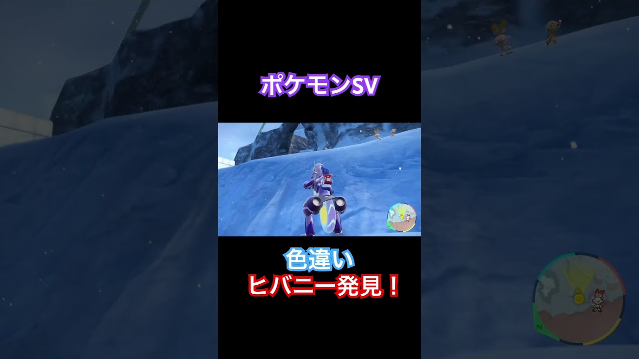 【ポケモンSV】色違いヒバニー発見！ #ポケモン #pokemon #ポケモンsv #shorts