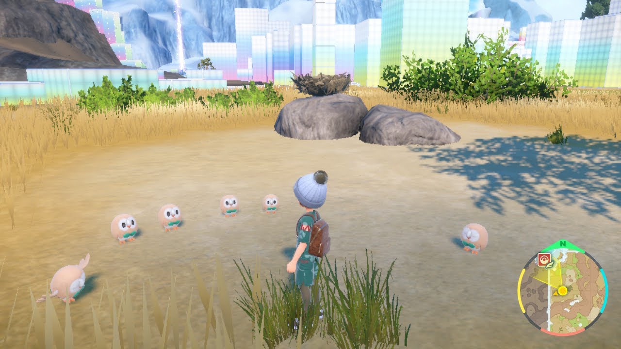 藍の円盤にて野生モクロー解禁！！【ポケモンSV】