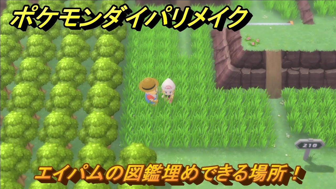ポケモンダイパリメイク　エイパムの図鑑埋めできる場所！全国図鑑入手への道のり　最新版【ブリリアントダイヤモンド・シャイニングパール】