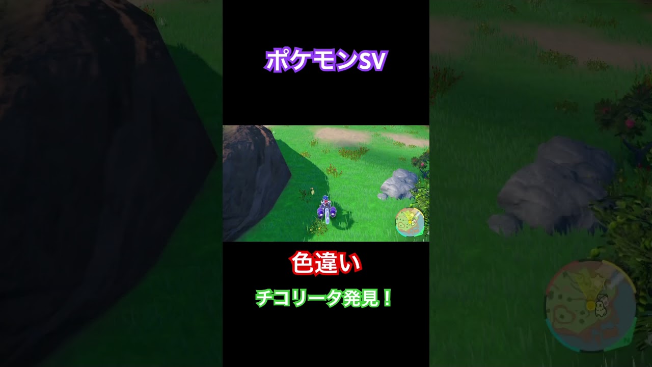 【ポケモンSV】色違いチコリータ発見！ #ポケモン #ポケモンSV #pokemon #shorts