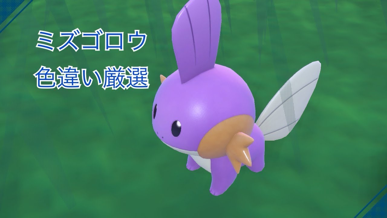 半放置で！ミズゴロウ色違い厳選！【ポケモンSV】