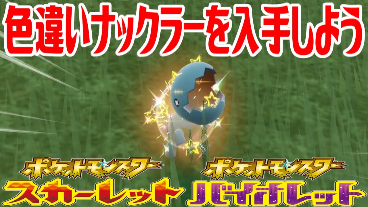 【ポケモンSV】色違いナックラーを入手しよう【ポケットモンスター スカーレット・バイオレット ゼロの秘宝 藍の円盤】Pocket Monsters