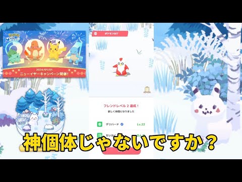 【ポケモンスリープ】こっこおばちゃんの睡眠リサーチ記録 169日目