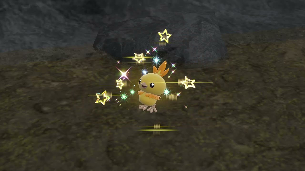 【ポケモンSV】アチャモ　色違い【藍の円盤】
