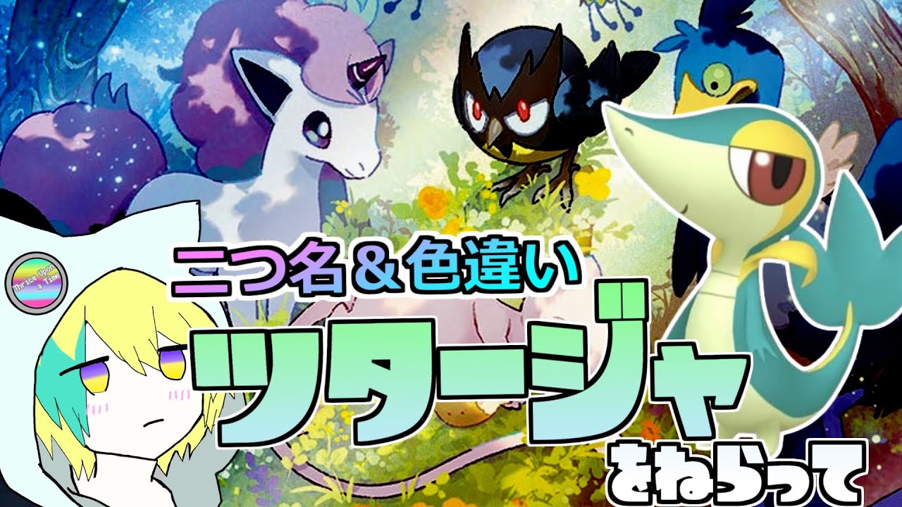 目指せひとしら証！証持ち色ツタージャをGETする配信（雑談多め）【ポケモンSV】