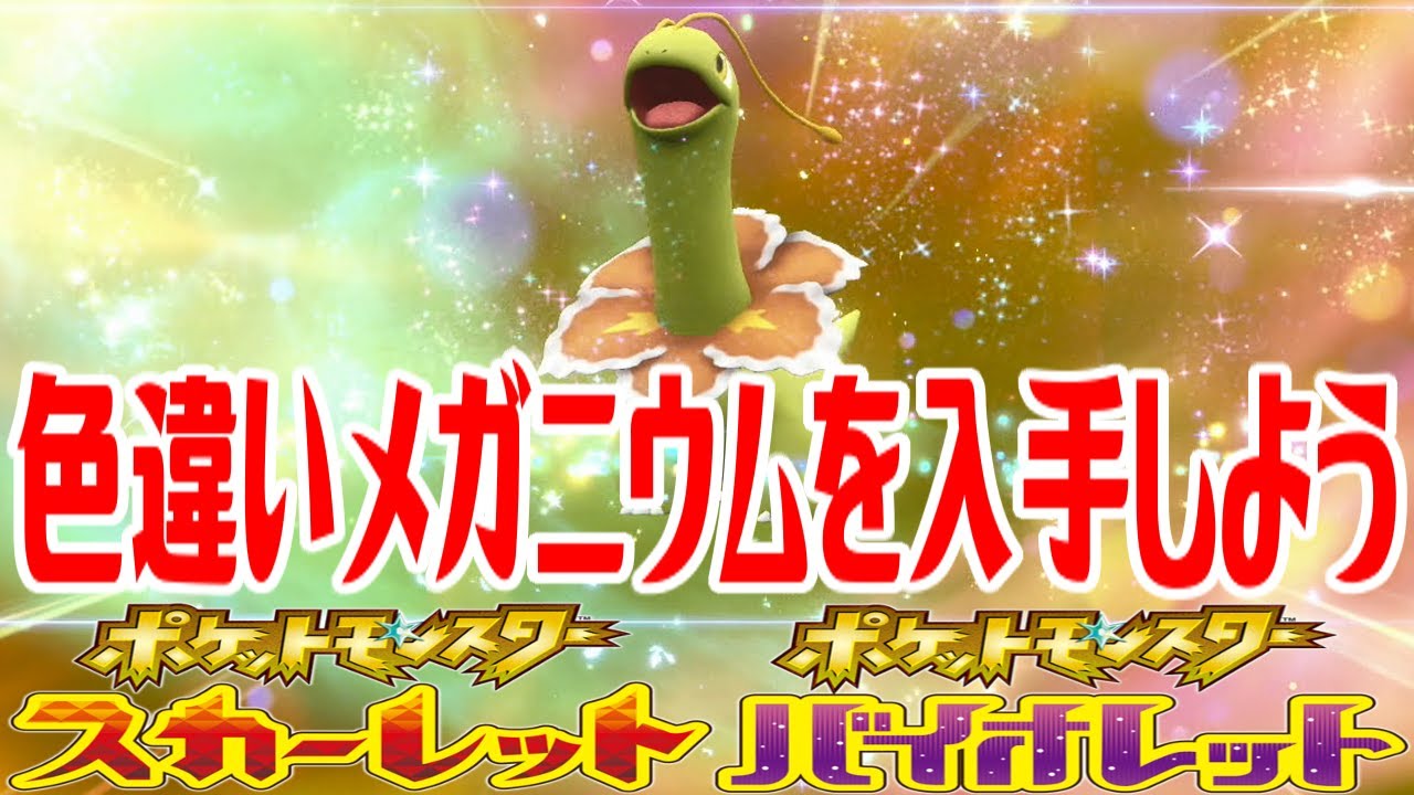 【ポケモンSV】色違いメガニウムを入手しよう 進化入手【ポケットモンスター スカーレット・バイオレット ゼロの秘宝 藍の円盤】Pocket Monsters