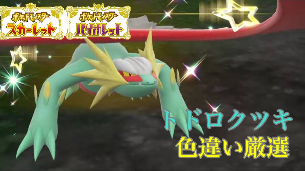【雑談】ムンボ色違いトドロクツキ厳選配信