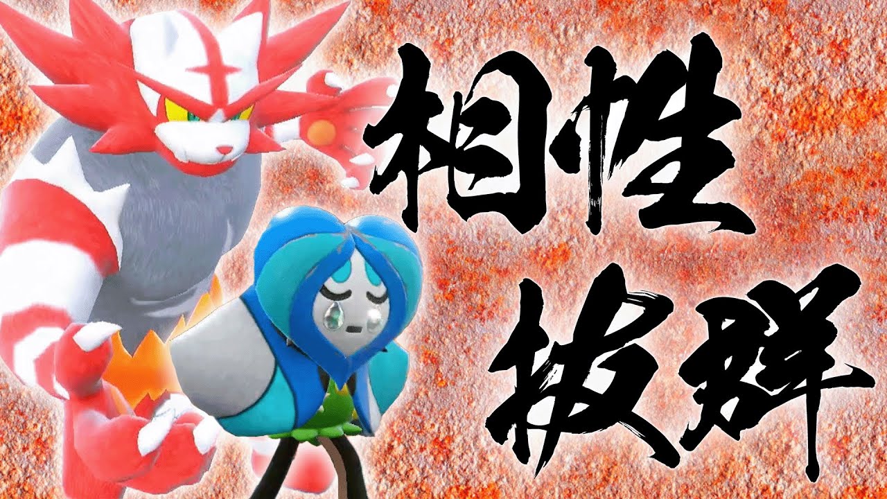 【新開拓】神相性！？ガオガエンと水オーガポンの組み合わせに今一番注目しています【ポケモンSV】