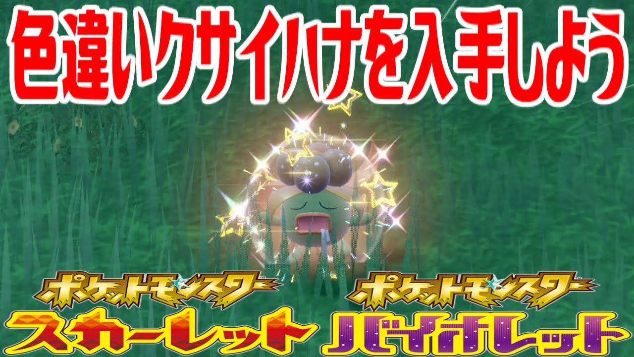 【ポケモンSV】色違いクサイハナを入手しよう【ポケットモンスター スカーレット・バイオレット ゼロの秘宝 藍の円盤】Pocket Monsters