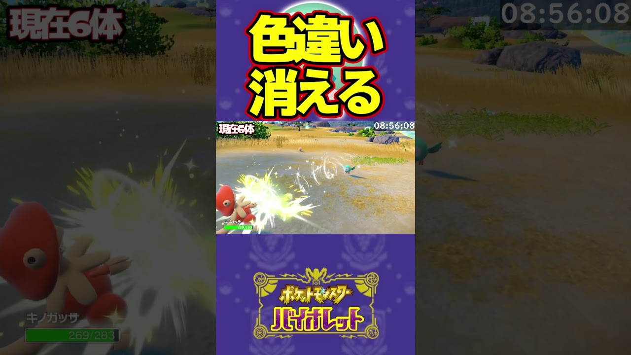 色違いモクローが行方不明になりました #ポケモンsv#青の円盤