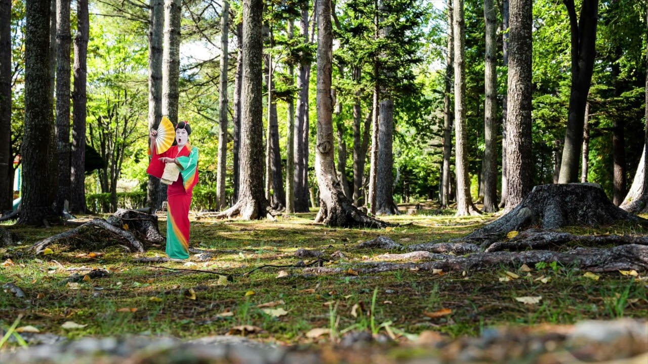 森の中で野生のコウメ太夫と出会った