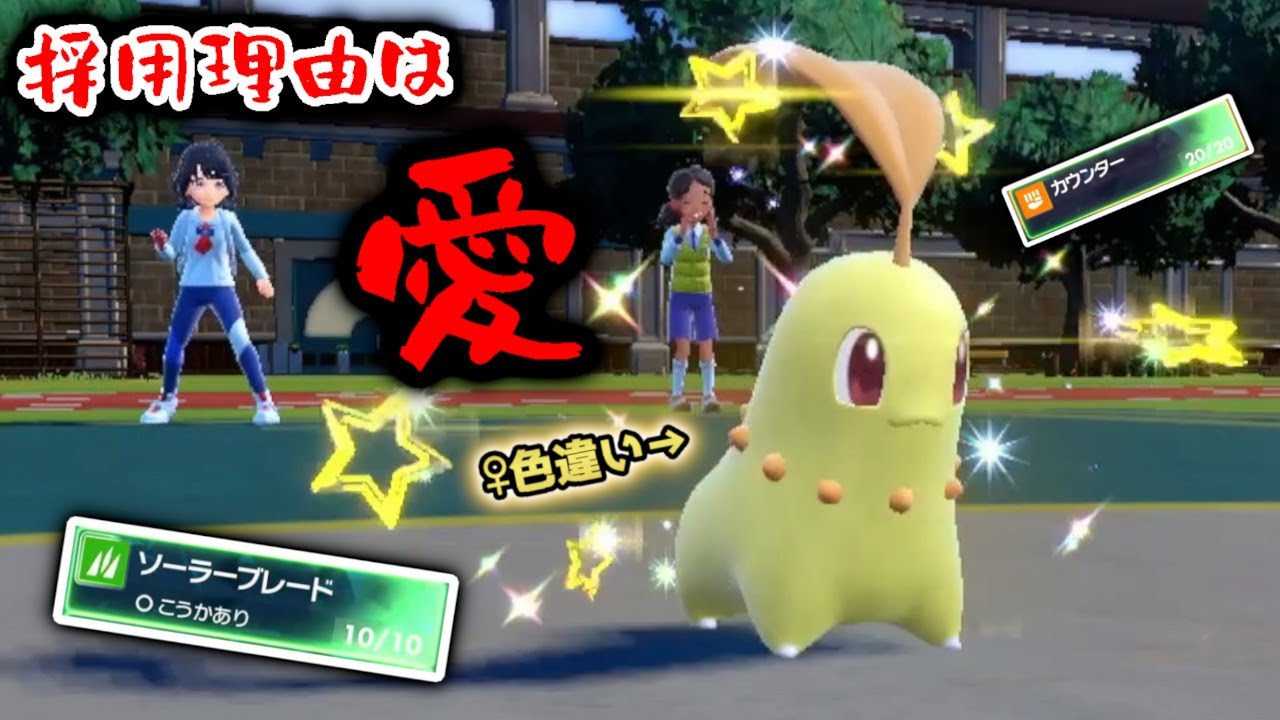 強力な技で奮闘！頑張って捕まえた愛しのチコリータと戦場へ挑む...！【ポケモンSV】
