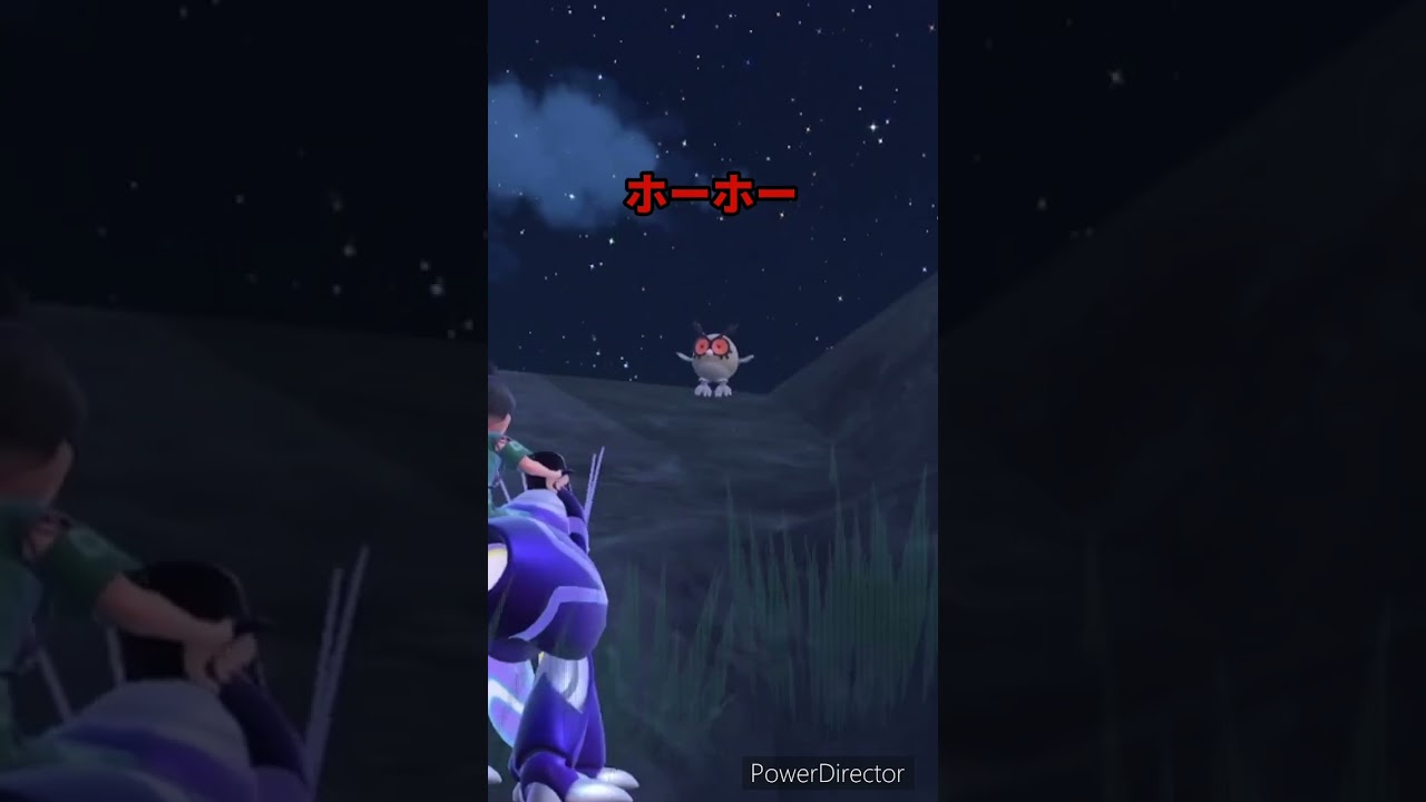 【ポケモンバイオレット】ホーホー発見　#ポケモンバイオレット #ゲームリハビリ #shorts