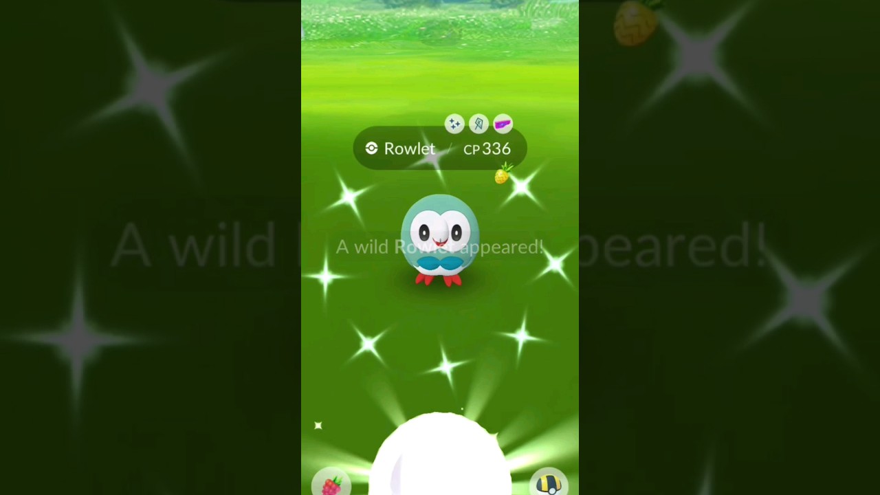 ✨️Shiny Weather Boosted Rowlet! #pokemongocommunityday #pokemon #rowlet #shinypokemon