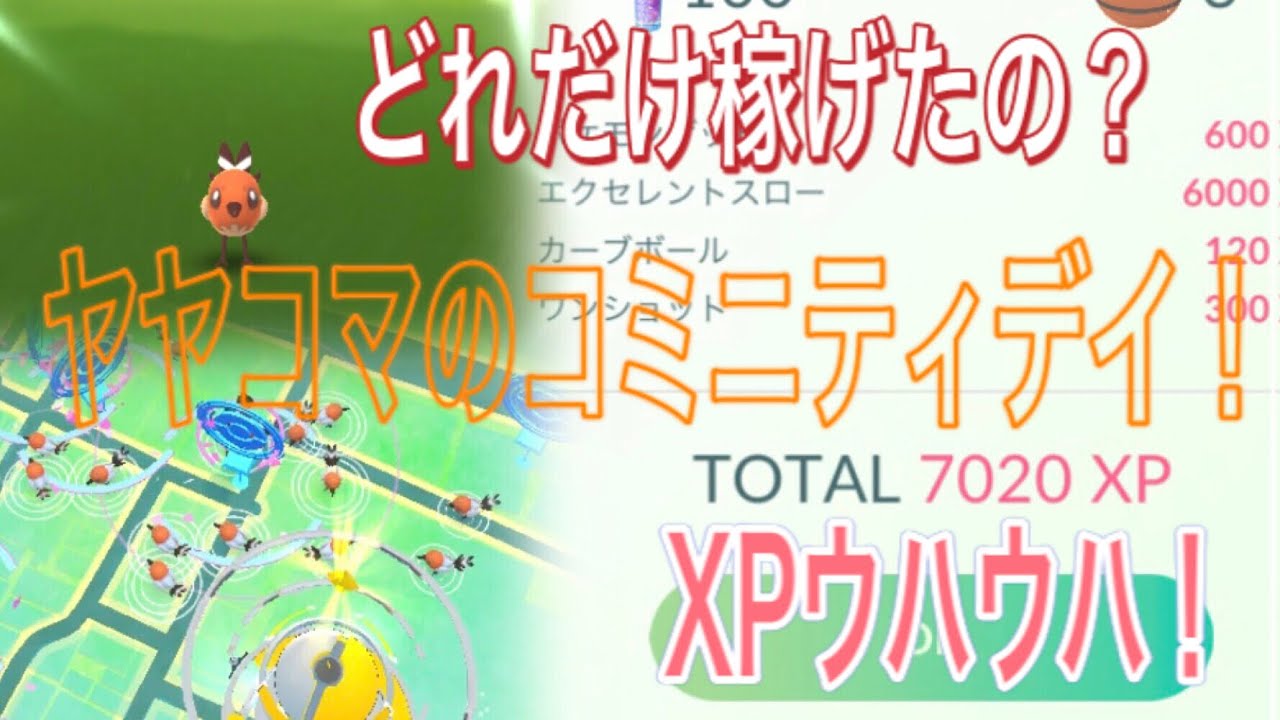 【ポケモンGO】驚愕XP3倍！おいしいヤヤコマのコミニティデイ！【Pokémon GO】