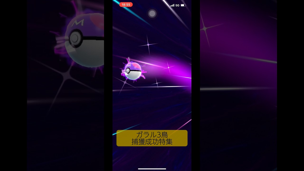 【ポケモンGO】ガラル3鳥捕獲成功特集動画#shorts