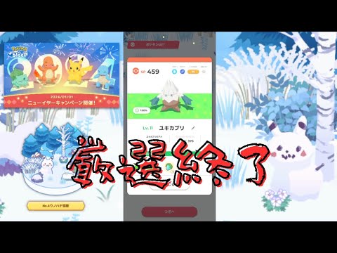 【ポケモンスリープ】こっこおばちゃんの睡眠リサーチ記録 171日目