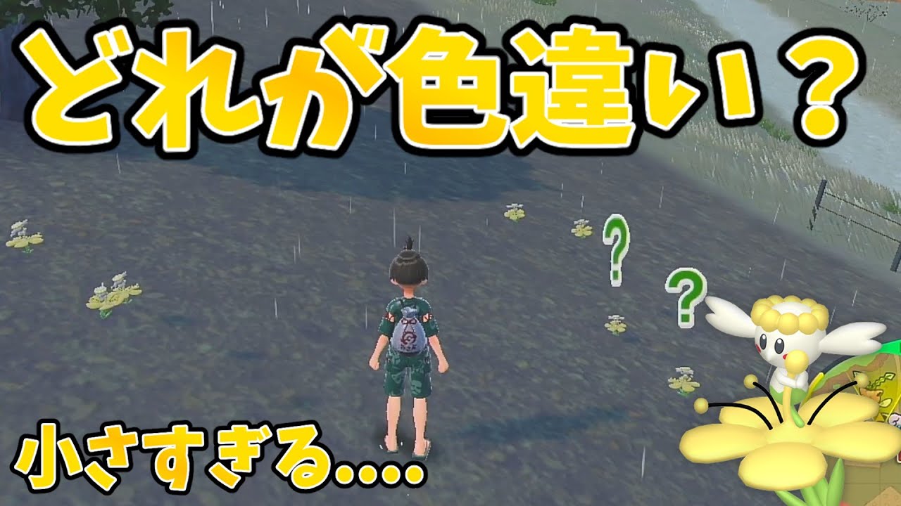 あまりにも小さすぎるフラベベの色違い厳選をします 【ポケモンSV】