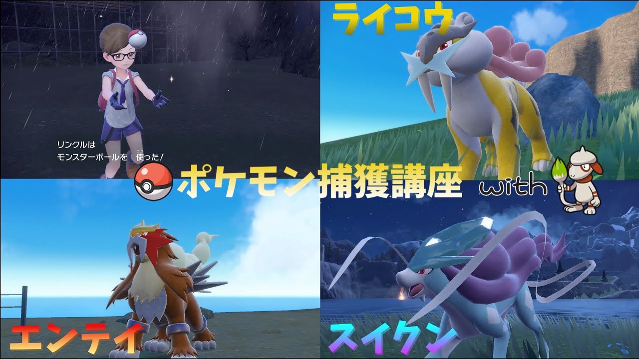 【ポケモンSV】 ドーブルを使った準伝説ポケモン捕獲講座 ② ～三犬編～