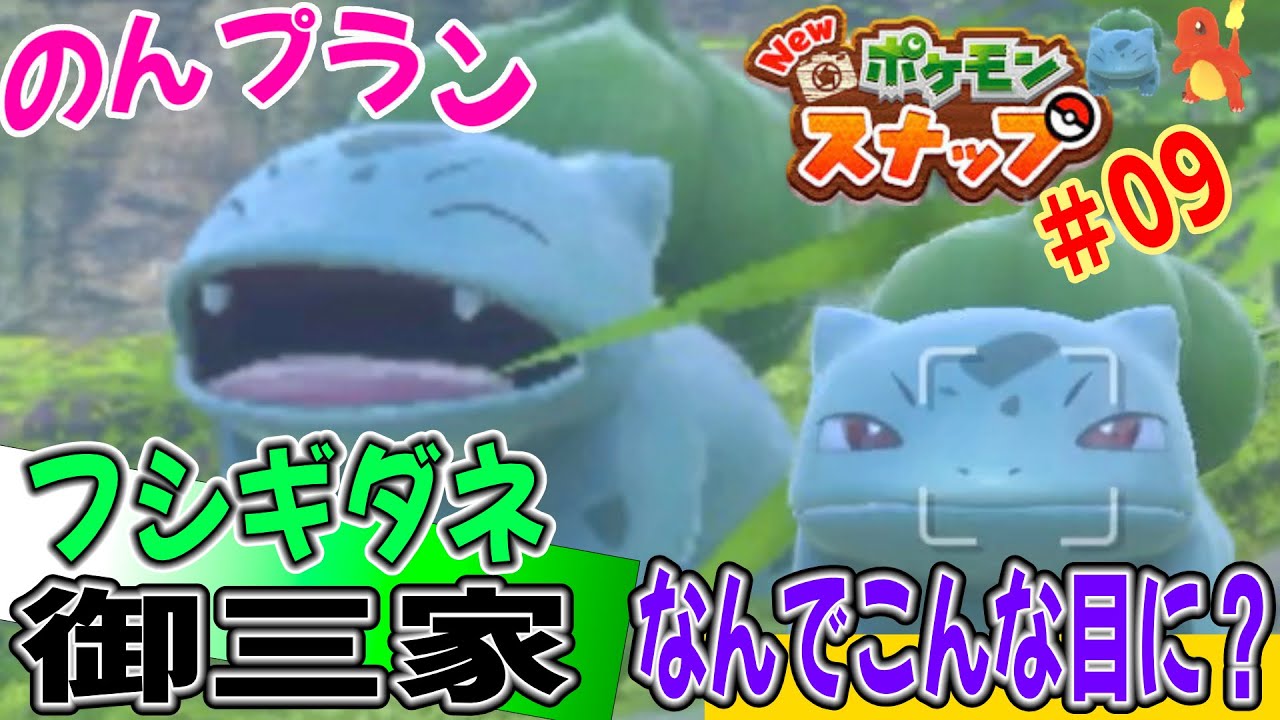 ポケモンスナップ 「なんでジト目？フシギダネ初登場(≖_≖)」 のんプラン