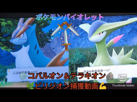 ポケモンバイオレット   コバルオン＆テラキオン＆ビリジオン捕獲動画