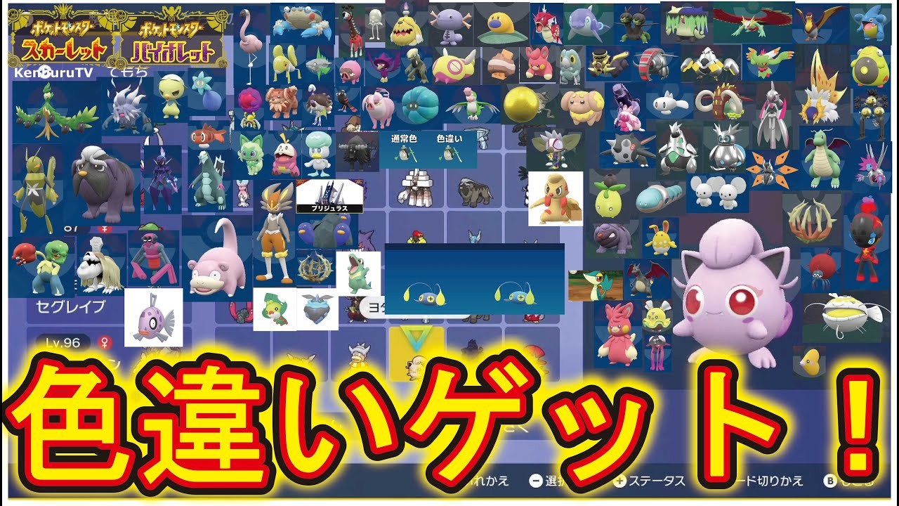 【#ポケットモンスタースカーレットバイオレット蒼の円盤】視聴者参加型！スパイス奢ります！色違い証持ちポカブ出るか！？マルチライブ配信！