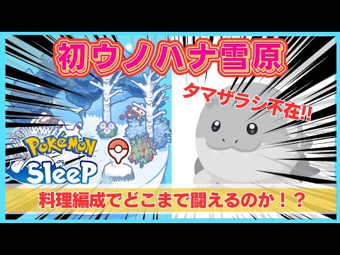 【無課金】タマザラシ無し！ラッタ無し！食材特化料理パでウノハナ突撃した結果がコチラ＠ウノハナ雪原【ポケモンスリープ】社畜OLの無課金ゲーム実況攻略記202401